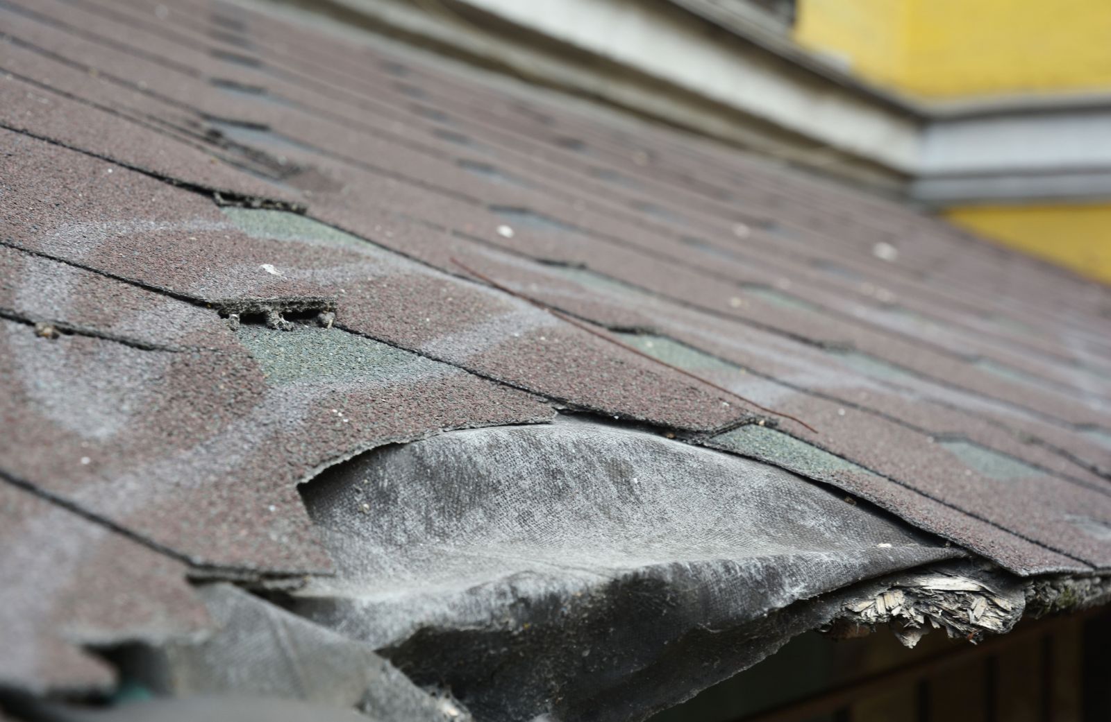 San Antonio Reliable Roofing Images